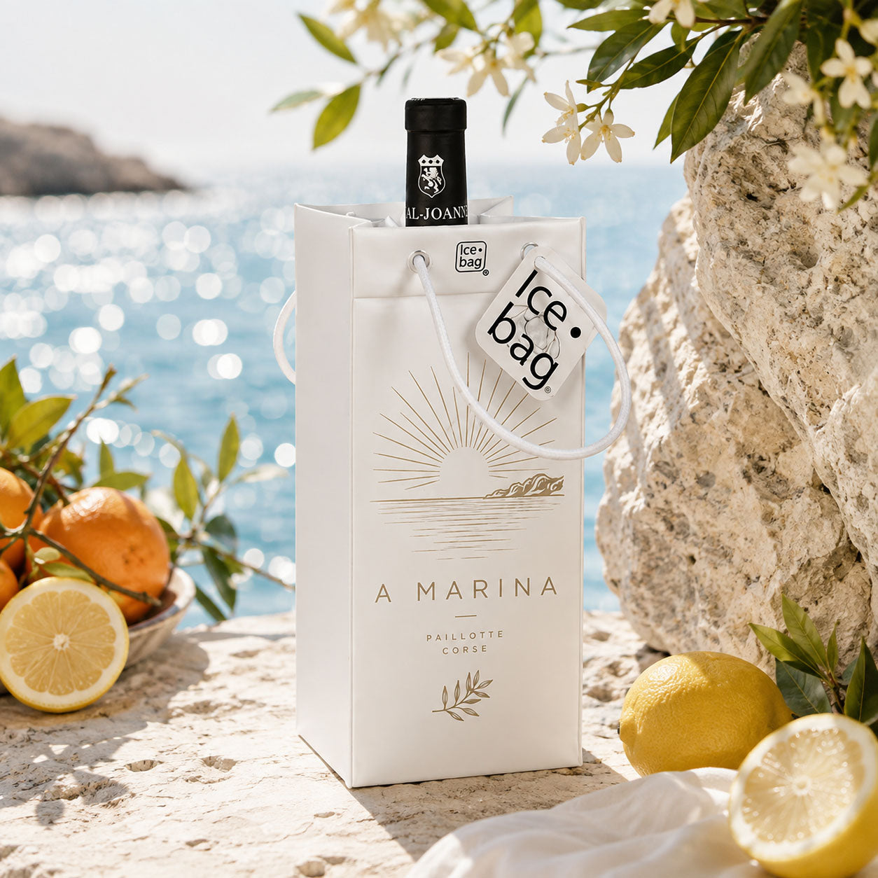 ice bag personnalisé au bord de la mer avec citron et orange